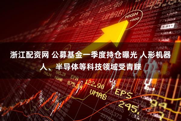 浙江配资网 公募基金一季度持仓曝光 人形机器人、半导体等科技领域受青睐